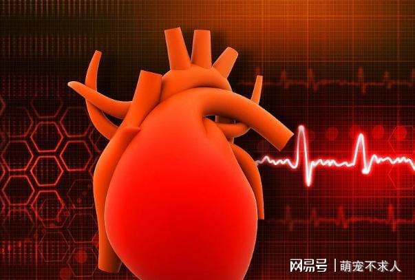 人体硒吃什么食物补（人体补食物吃硒可以吗）-硒宝网