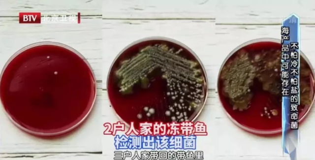 dha是补钙的吗（补钙是打钙针好还是骨肽好）-硒宝网