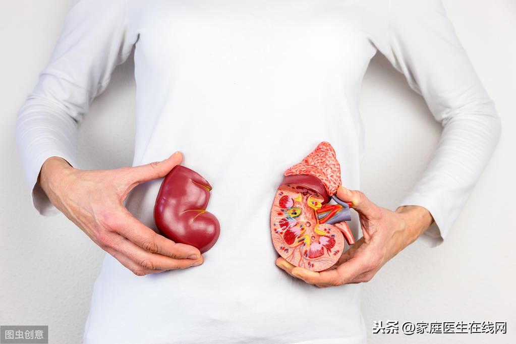 肾结石补钙(肾结石补钙注意事项)-硒宝网