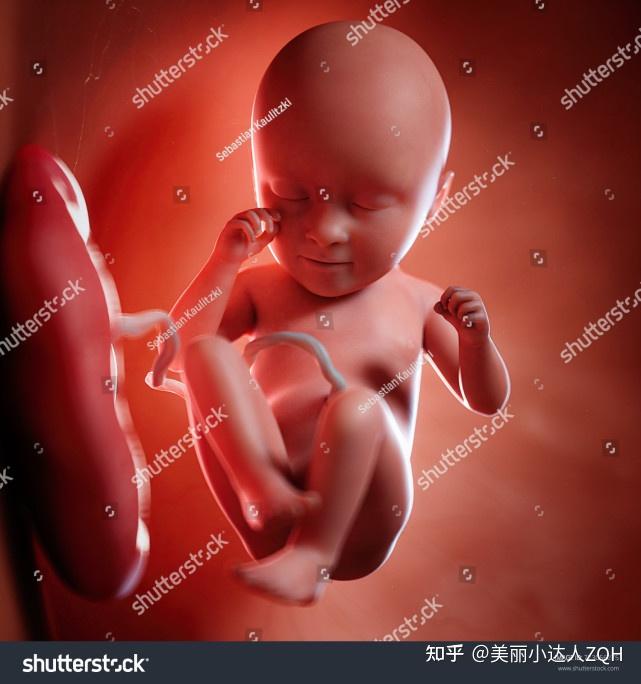 孕期补铁食物(孕期食物补铁吃什么)-硒宝网