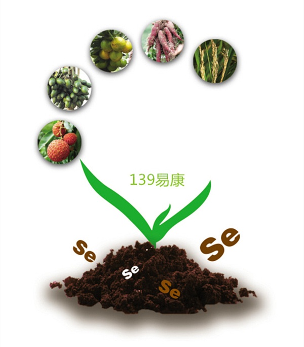 人体为什么需要补硒(人体补硒的食物有哪些)-硒宝网