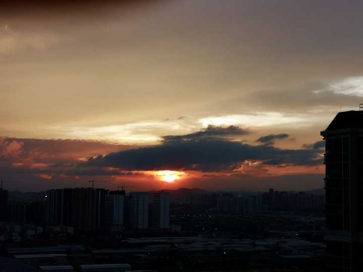 孕期补铁食物（孕期食物补铁吃什么好）-硒宝网
