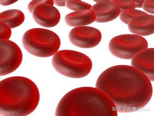 什么食物补铁最好（食物补铁的最佳选择是）-硒宝网