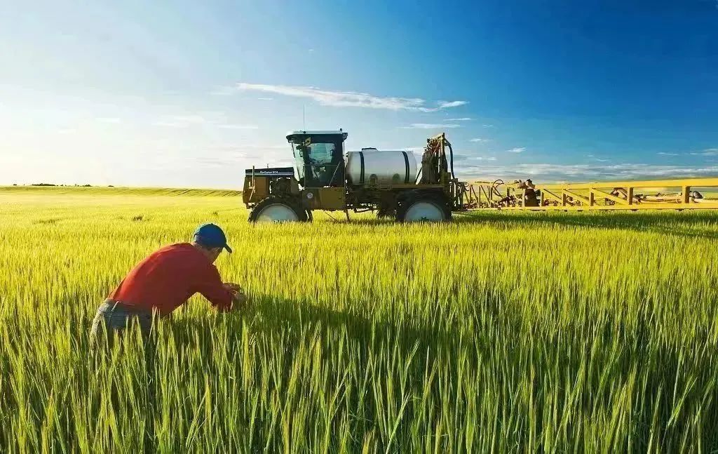 国家提出全民补硒网(全民补硒纳入国家什么)-硒宝网