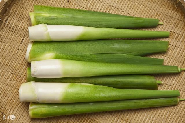 什么蔬菜水果补钙(蔬菜水果补钙效果好吗)-硒宝网