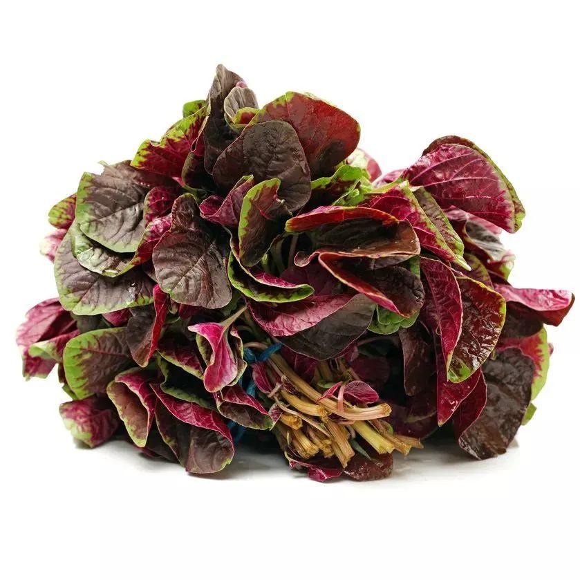 补钙的食物有哪些菜（菜食物补钙有什么好处）-硒宝网