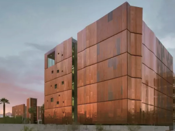 响应国家全民补硒日（全民补硒工程发起人是谁）-硒宝网