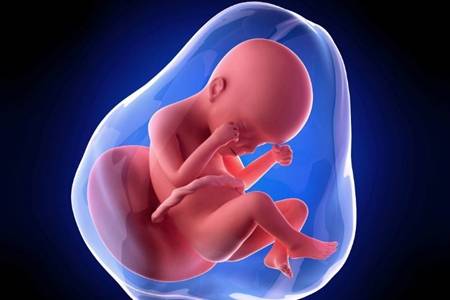 孕妇可以补铁吗（孕妇补铁可以喝牛奶吗）-硒宝网