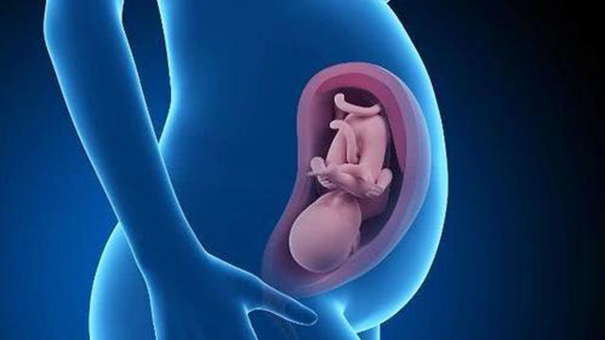 孕妇可以补铁吗（孕妇补铁可以喝牛奶吗）-硒宝网