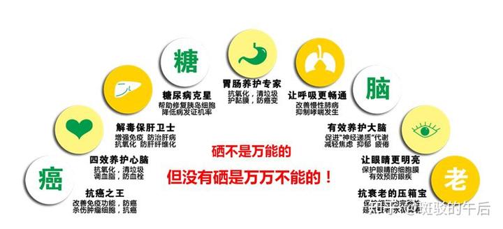 肝病补硒酵母的作用(酵母硒的作用和补硒的好处)-硒宝网