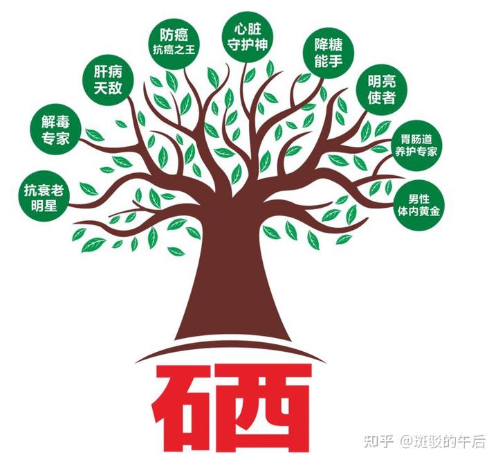 肝病补硒酵母的作用(酵母硒的作用和补硒的好处)-硒宝网