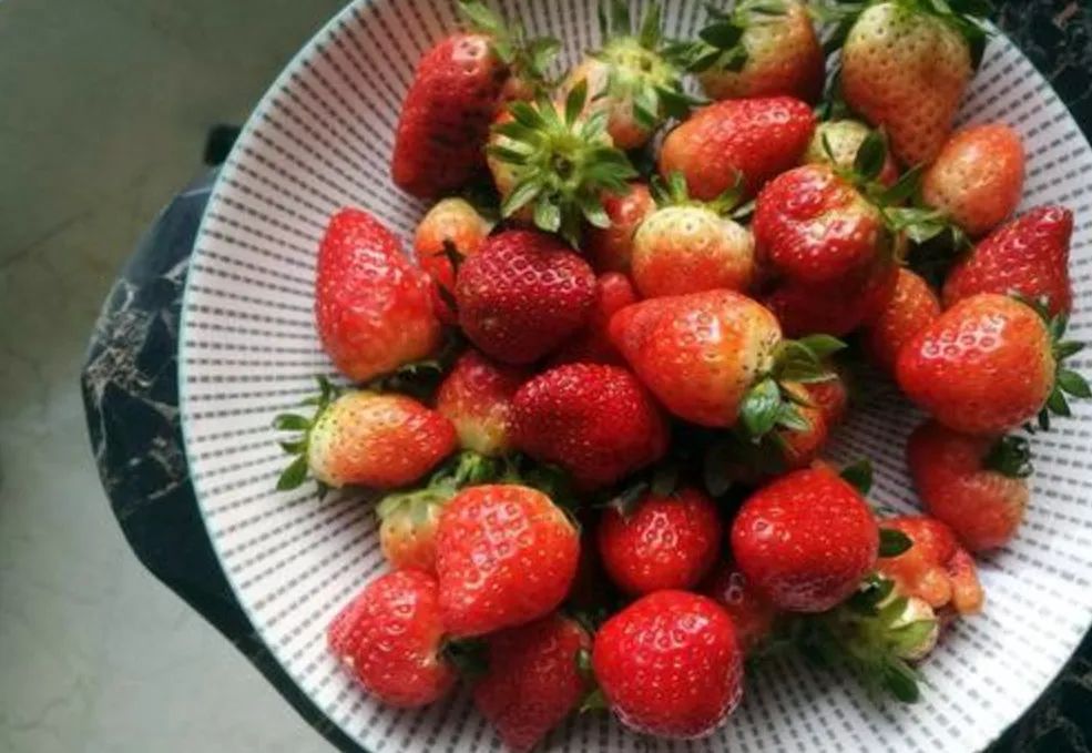 补钙的食物和水果(水果食物补钙有哪些)-硒宝网