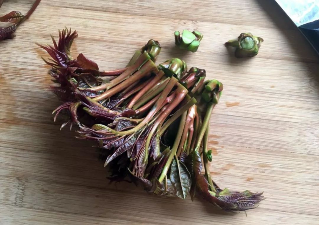 补钙的食物和水果(水果食物补钙有哪些)-硒宝网