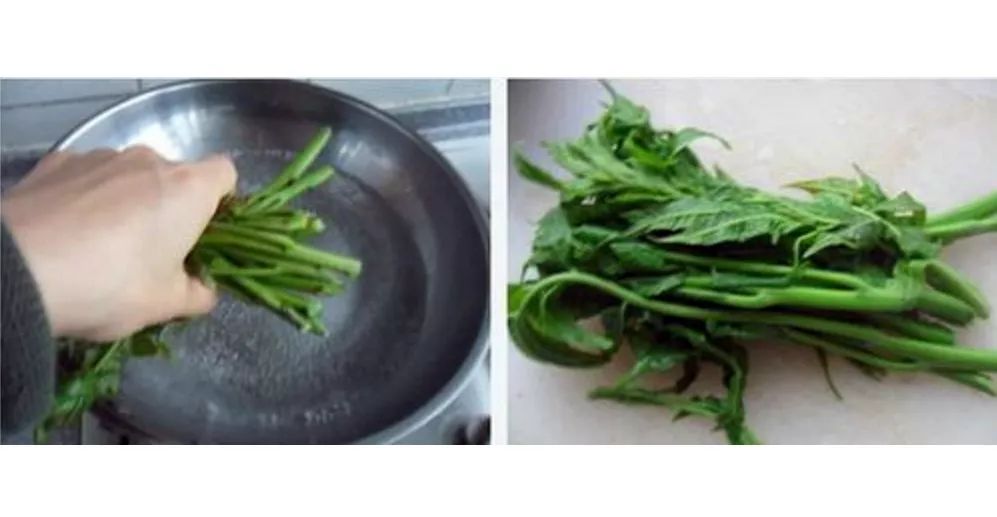 补钙的食物和水果(水果食物补钙有哪些)-硒宝网