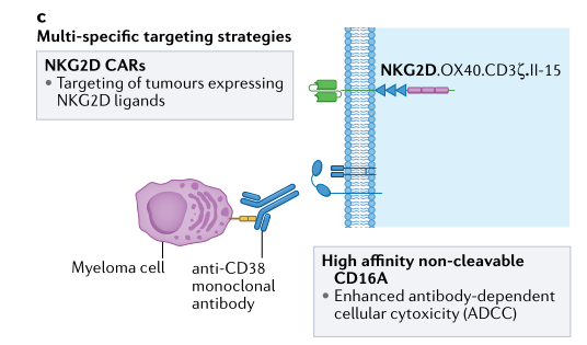 补硒能否提升白细胞（细胞能否补白提升硒含量）-硒宝网