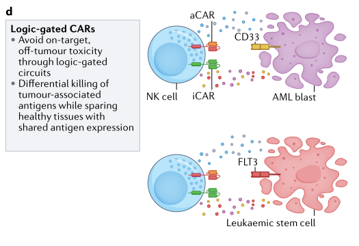 补硒能否提升白细胞（细胞能否补白提升硒含量）-硒宝网