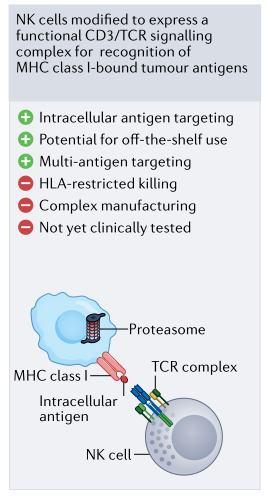 补硒能否提升白细胞（细胞能否补白提升硒含量）-硒宝网
