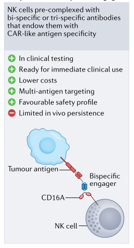 补硒能否提升白细胞（细胞能否补白提升硒含量）-硒宝网