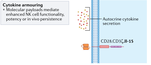 补硒能否提升白细胞（细胞能否补白提升硒含量）-硒宝网