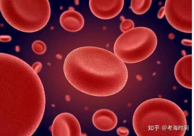 瘦肉补铁吗(瘦肉补铁吗补血吗)-硒宝网