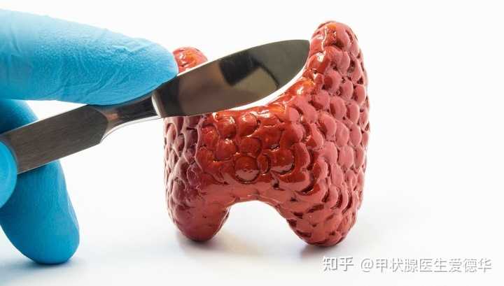 甲亢治疗补硒推荐药（甲亢的药有个叫硒什么的）-硒宝网