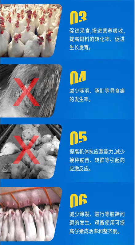 仔猪正常硒补几毫升(毫升补仔猪正常硒含量)-硒宝网