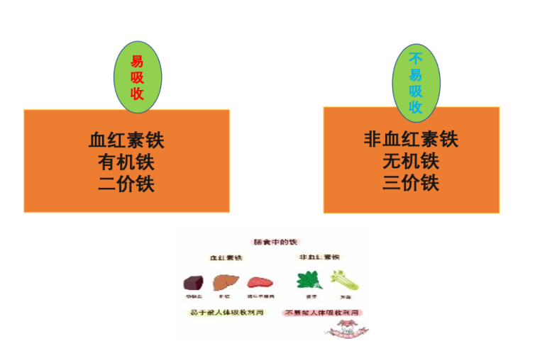 吃什么药补铁（吃补铁的药要吃多久）-硒宝网