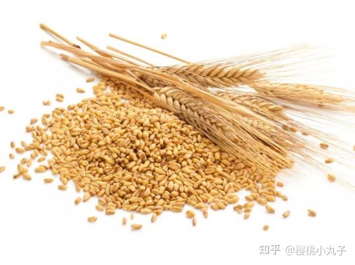 宫颈息肉补硒管用吗(宫颈息肉服用什么药)-硒宝网