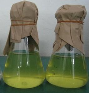 天然培养基为什么不需要另加微量元素（微量元素培养基配制）-硒宝网