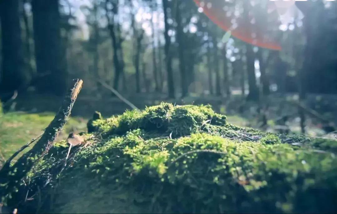 眼睛干涩胀痛吃补硒(眼睛补硒有什么好处)-硒宝网