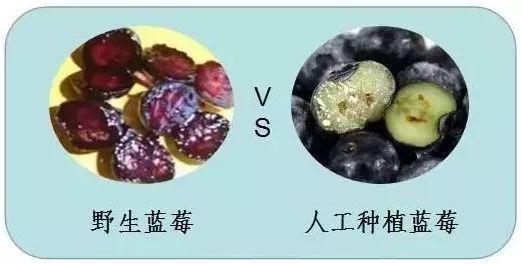 眼睛干涩胀痛吃补硒(眼睛补硒有什么好处)-硒宝网