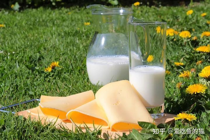 补钙量(成人每日补钙量)-硒宝网