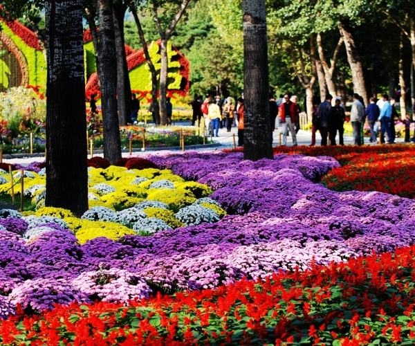 医用微量元素测定仪(测定仪医用微量元素有哪些)-硒宝网