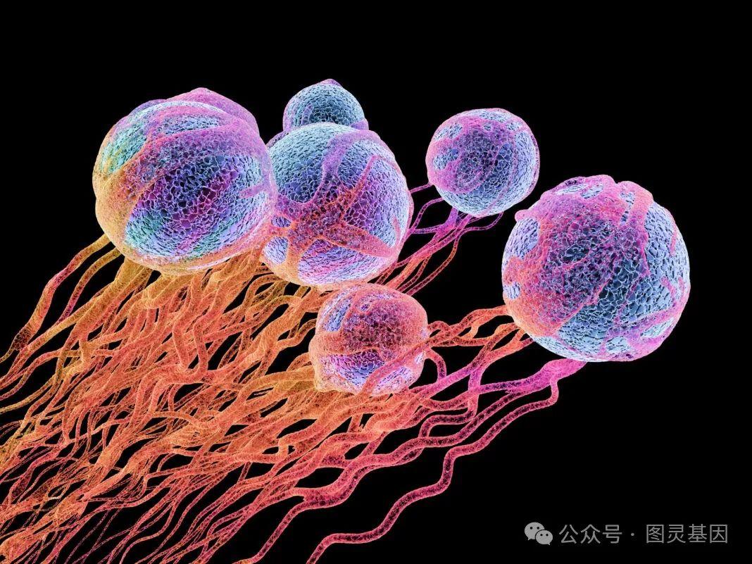 吃什么补有机麦芽硒（吃麦芽硒有什么好处）-硒宝网