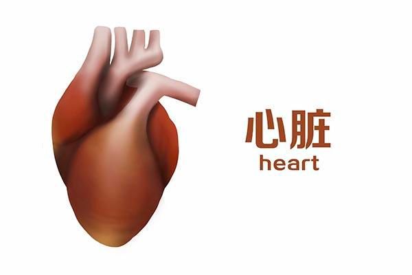 奶茶补钙吗(奶茶补钙效果好吗)-硒宝网