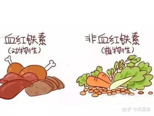 孕妇补铁的药什么时候吃最好(孕期吃补铁药要吃到生吗)-硒宝网