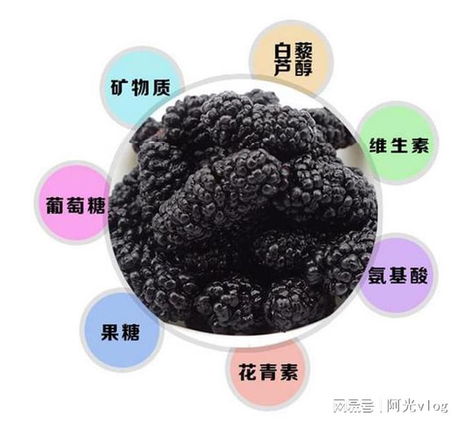 什么水果最补铁(吃什么水果补铁)-硒宝网