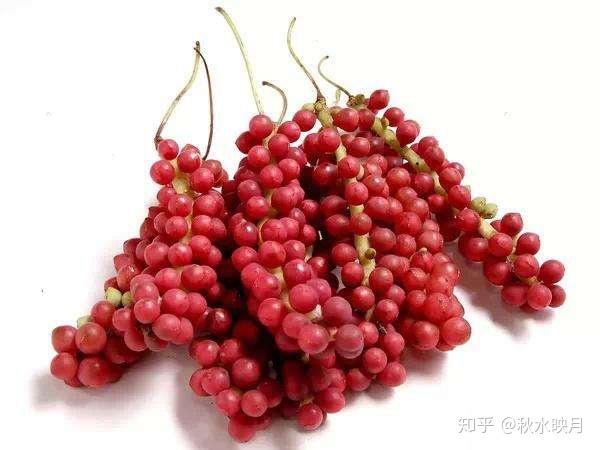 乙肝可以吃什么补硒（乙肝吃了一年硒片）-硒宝网