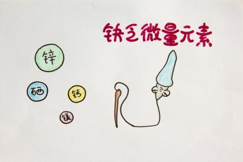 出生小猪补硒的好处（小猪补硒补多了怎么办）-硒宝网