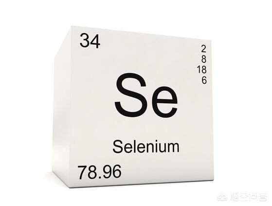 仔猪补硒为什么死亡（仔猪补硒中毒怎样治疗）-硒宝网