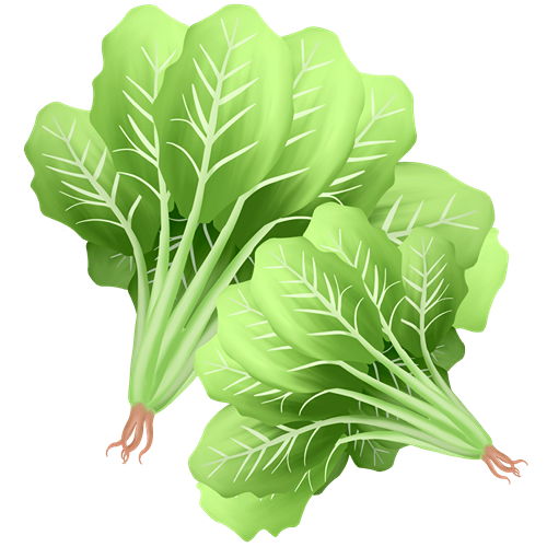 可以补钙的食物(食物补钙可以喝牛奶吗)-硒宝网