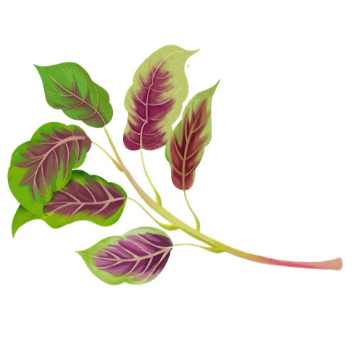 可以补钙的食物(食物补钙可以喝牛奶吗)-硒宝网