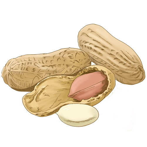 可以补钙的食物(食物补钙可以喝牛奶吗)-硒宝网