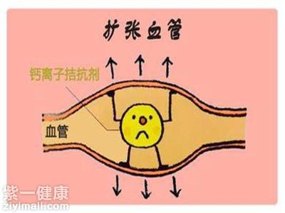 女性补硒钙片有哪些(补女性钙片硒有副作用吗)-硒宝网