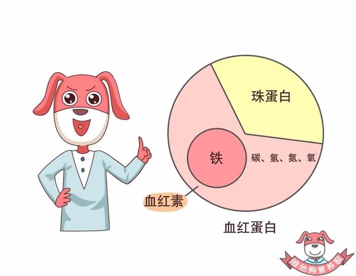 补铁的零食（补铁零食）-硒宝网