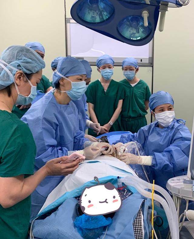 补铁的零食(补血补铁零食)-硒宝网