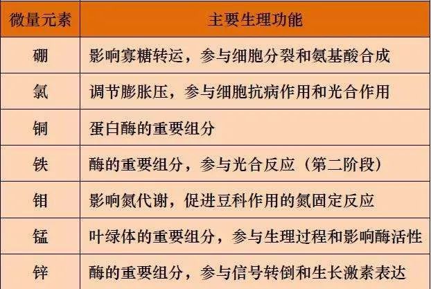 成人可以查微量元素吗(成人查微量元素可以查出什么)-硒宝网