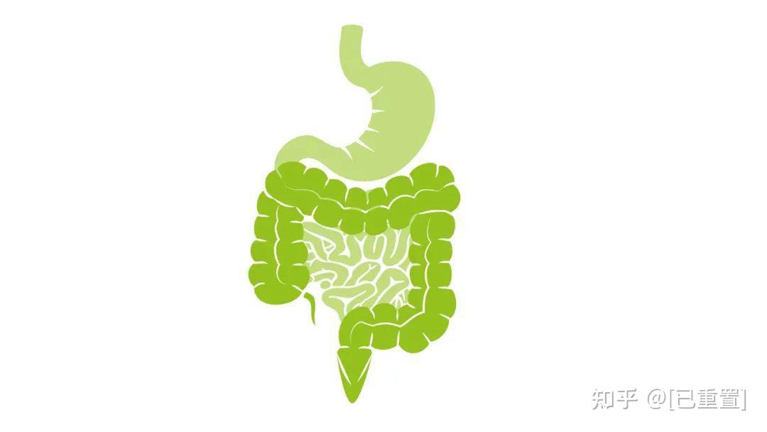 孕妇补铁便秘怎么办（孕妇补充铁剂便秘）-硒宝网