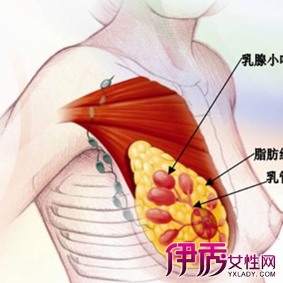 乳腺结节术后能补硒（乳腺结节可以补硒吗）-硒宝网