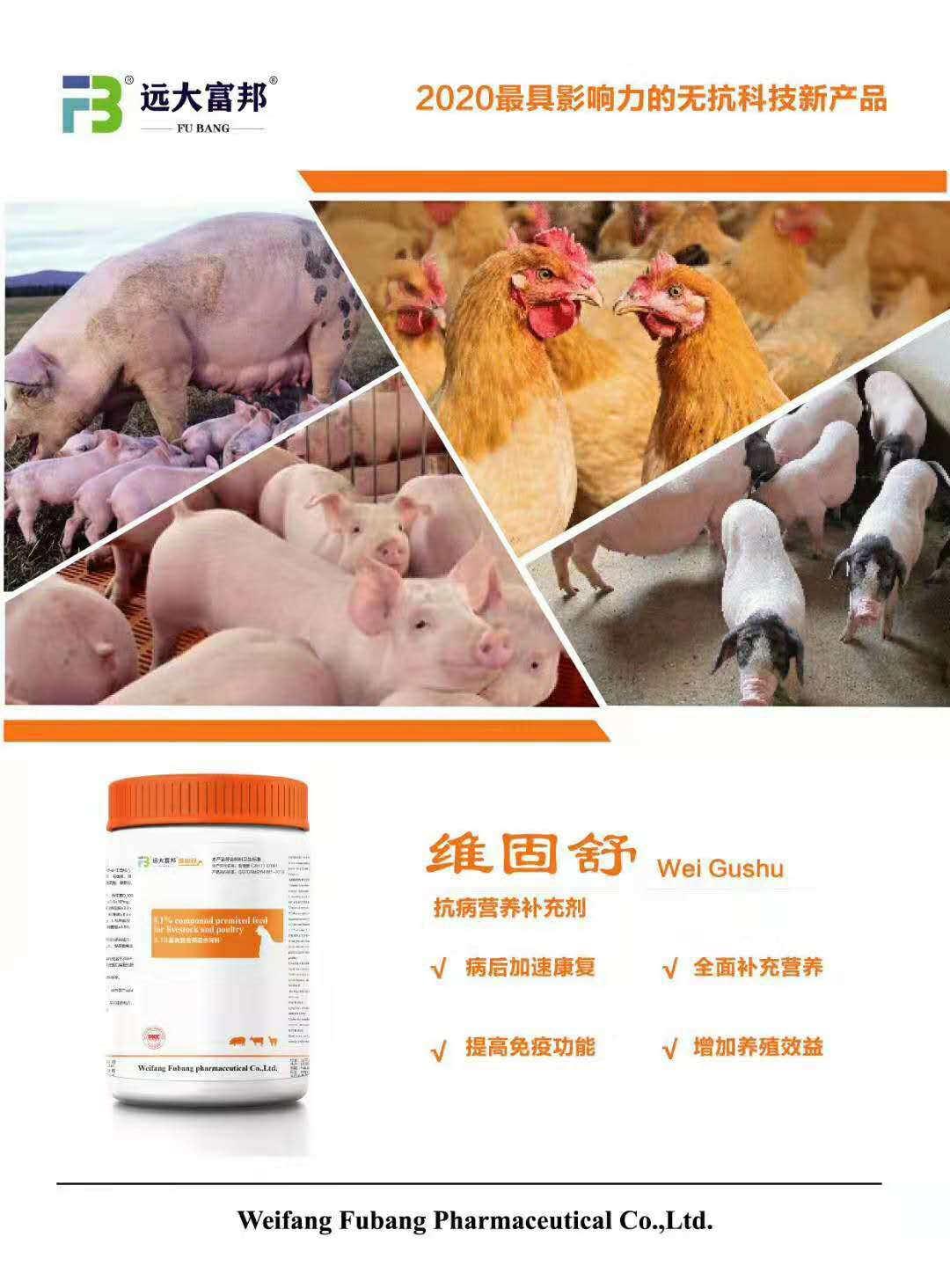 仔猪50天补多少硒(小仔猪七天补硒得补多少毫升)-硒宝网